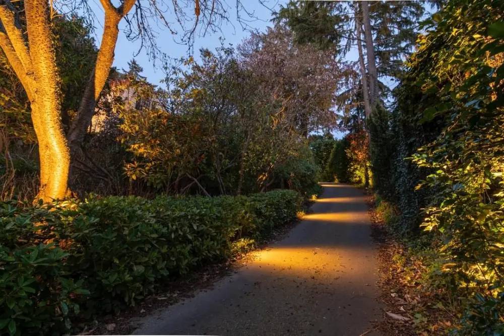 Landscape Lighting Contractor in Franklin, TN