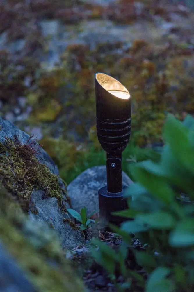 Why Should I get Landscape Lighting?