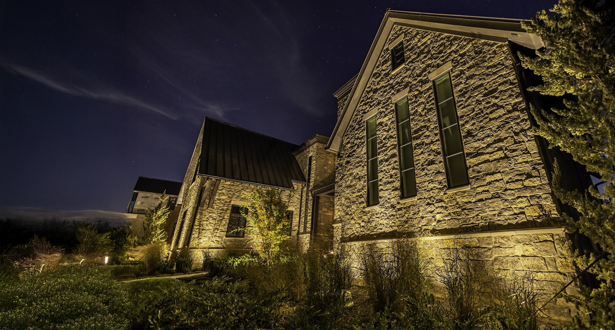 Uplighting vs Downlighting in Williamson County Yards