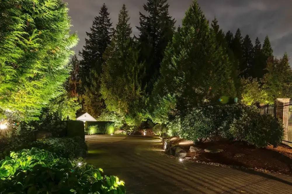 Garden path illuminated by low landscape lights